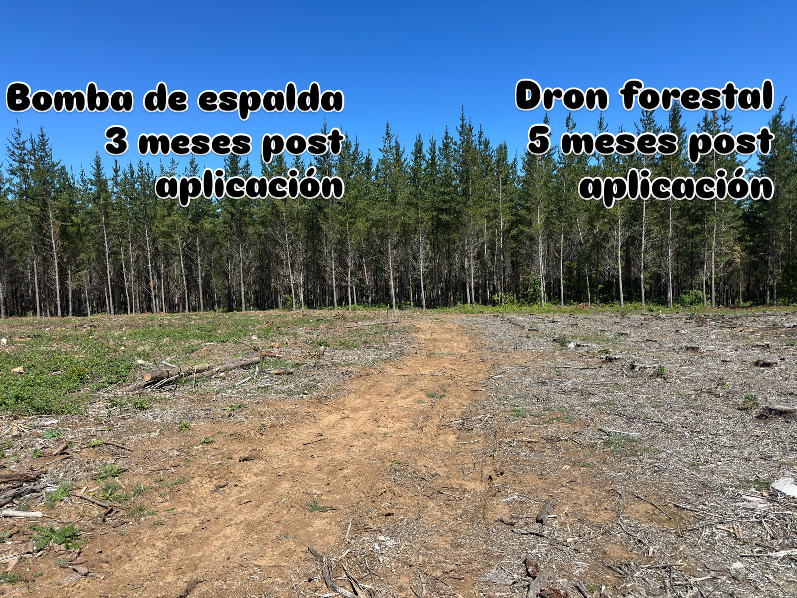 Aplicaciones forestales