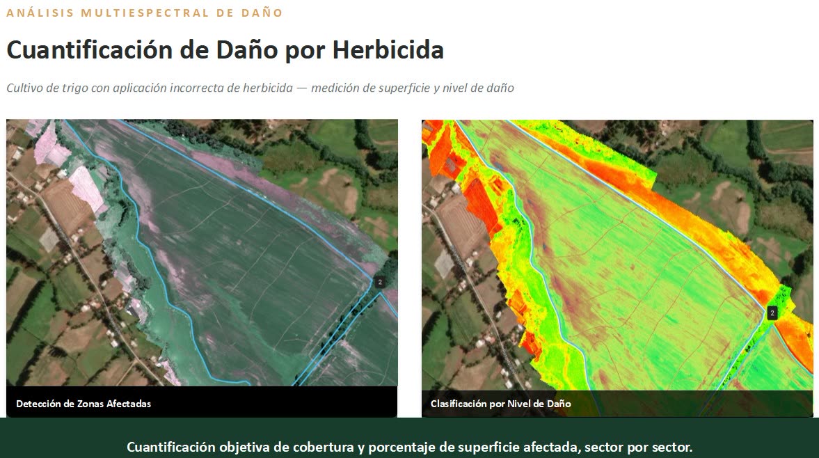 Cuantificación de daño por herbicida