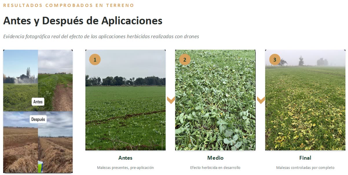 Controles de maleza