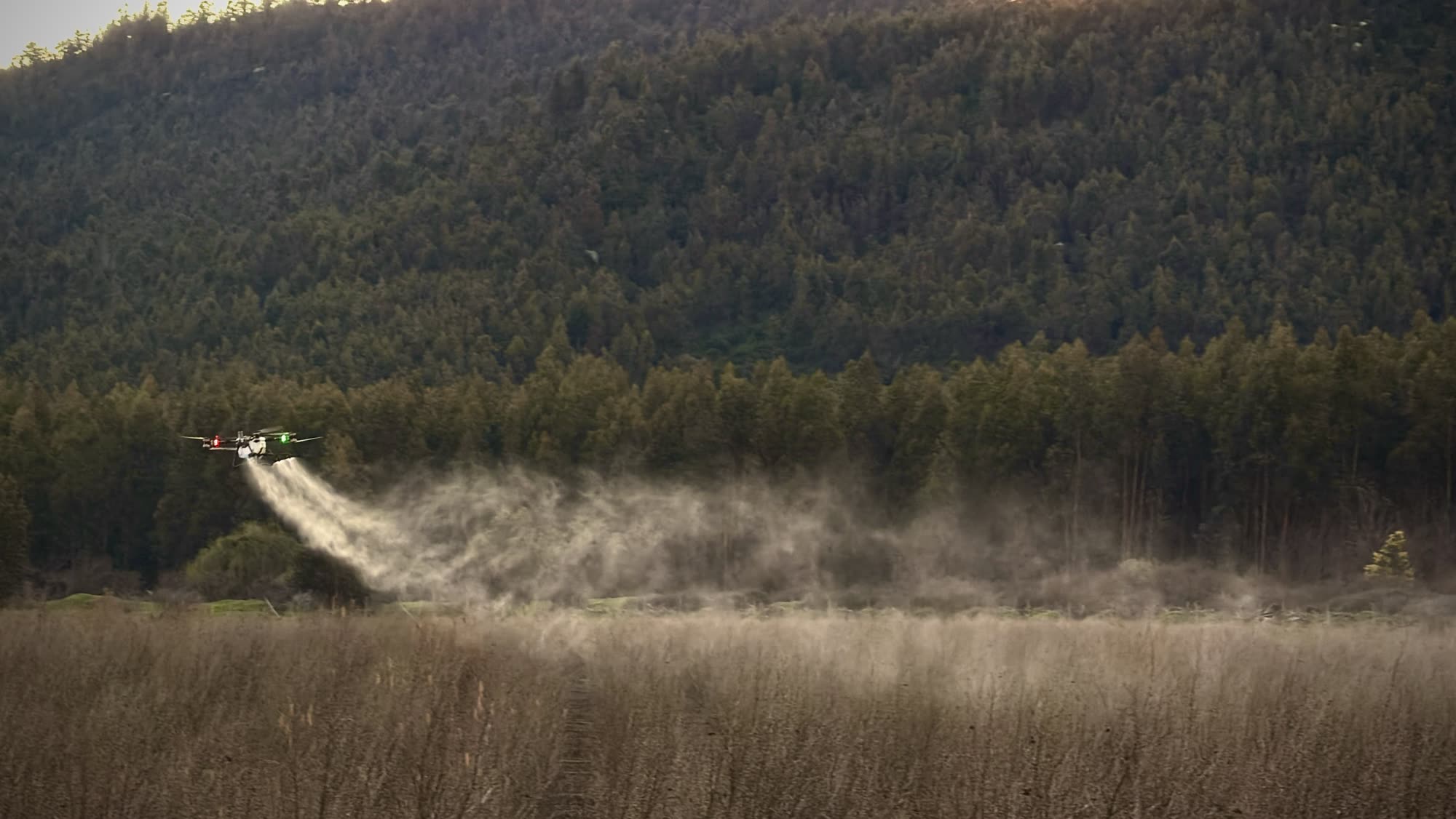Drone FARM FLY pulverizando sobre plantación forestal