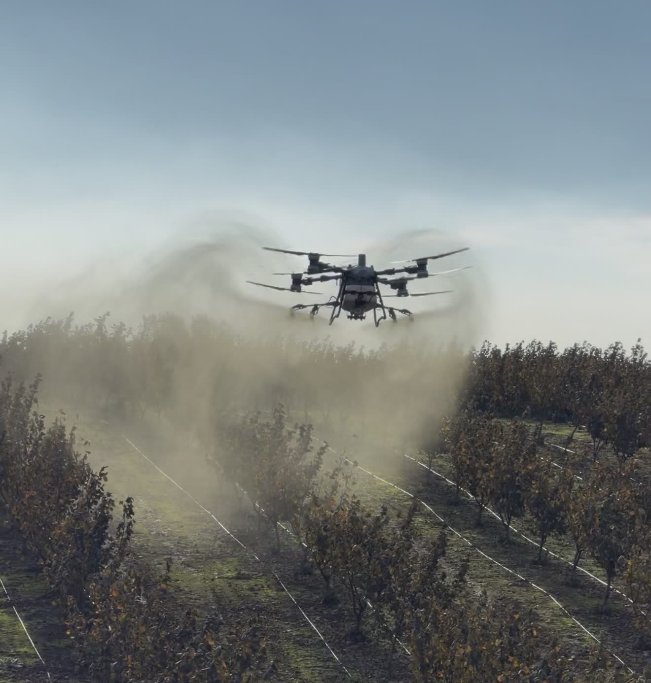 Drone FARM FLY pulverizando un huerto